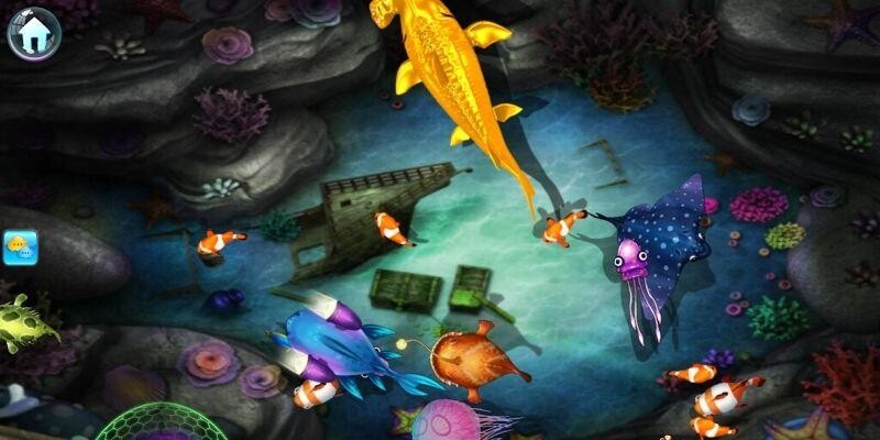 Tận hưởng hành trình đại dương huyền bí mãn nhãn Tận hưởng hành trình đại dương huyền bí mãn nhãn